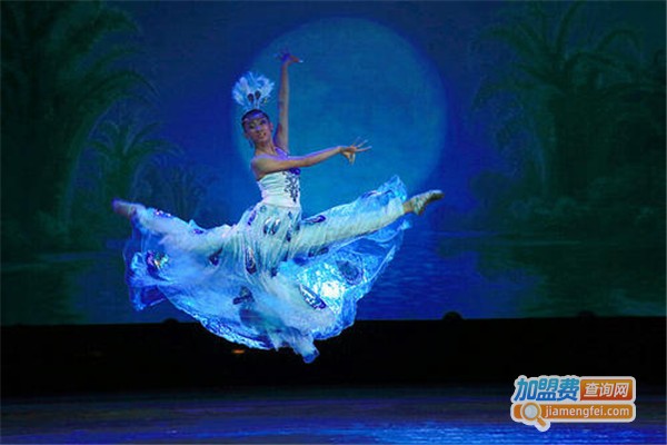 雀之灵舞蹈加盟费