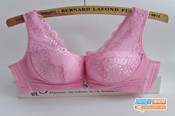 比蝶内衣加盟门店