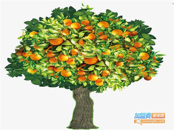 大树汇美术教育加盟门店