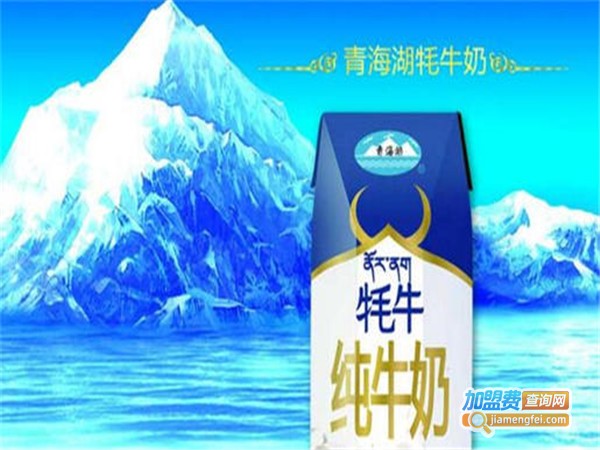 雪峰乳业加盟费