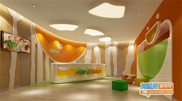 金麦教育加盟费