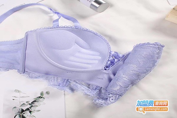 黛琪莹内衣加盟门店