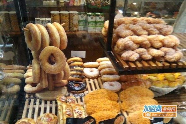 菲尔森语加盟费