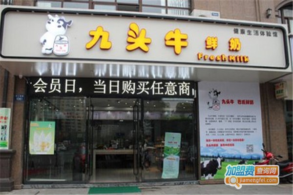 九头牛鲜奶吧加盟费