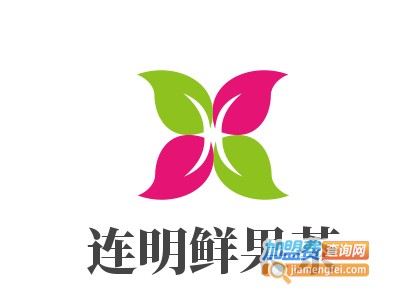 连明鲜果茶加盟费