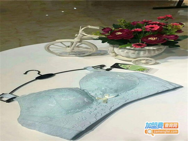 谜兰时黛美体内衣加盟门店