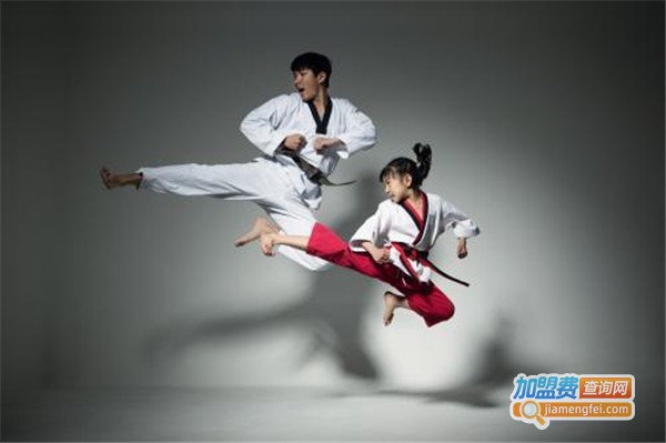 精英武术跆拳道俱乐部加盟费