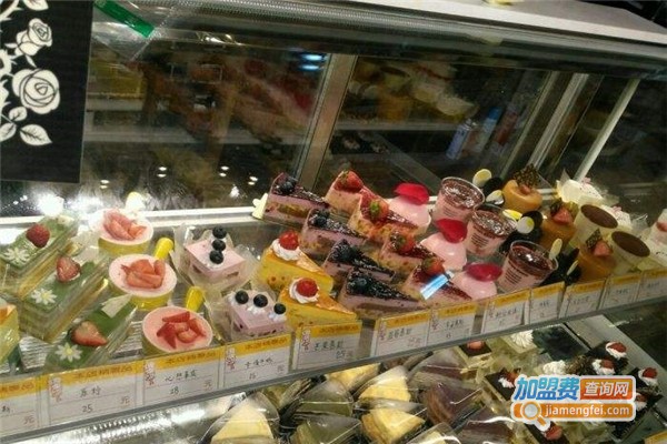 菲尔森语加盟费