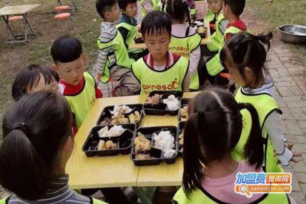 艾尔斯感统教育加盟