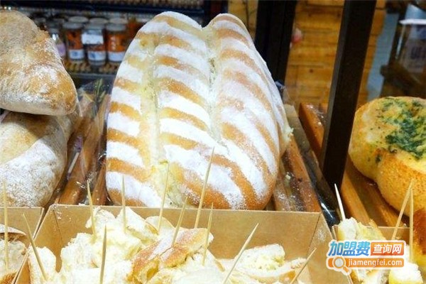 菲尔森语加盟费