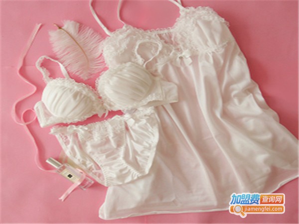 乔兰斯品牌内衣加盟门店