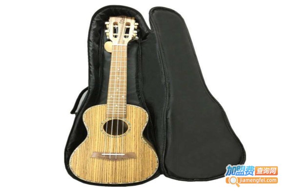 典弦吉他加盟费