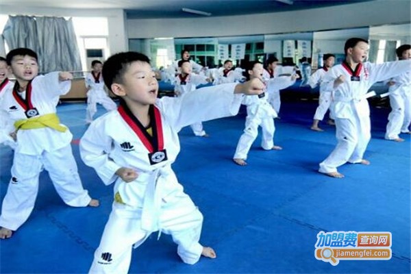 斌力跆拳道加盟费