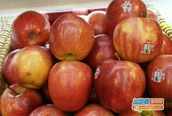 田木鲜果加盟费