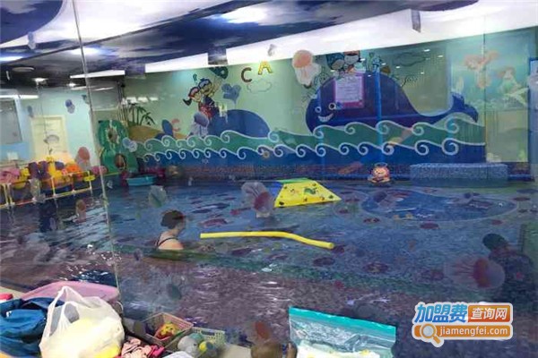 蓝鲸宝宝亲子游泳加盟费