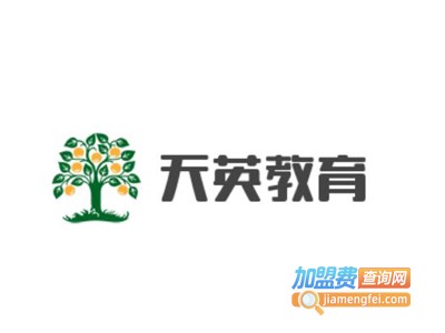 天英教育加盟费