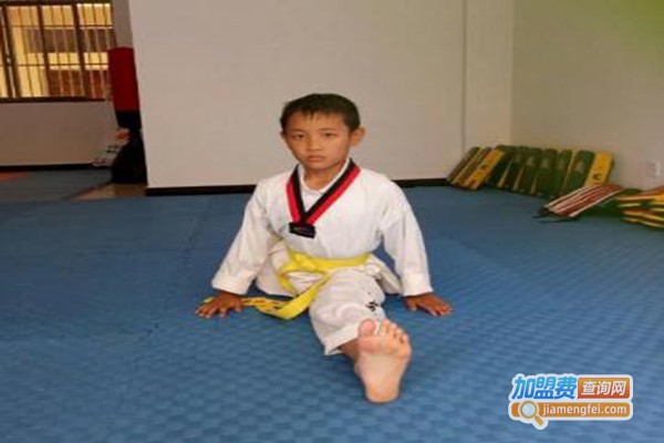 北京武道精英跆拳道加盟费