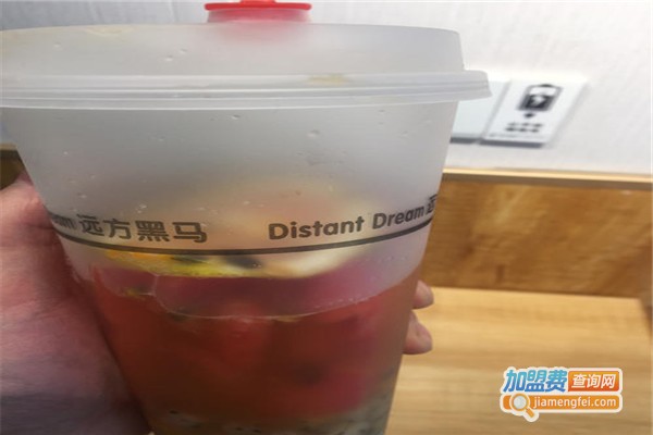 远方黑马Distant dream加盟费