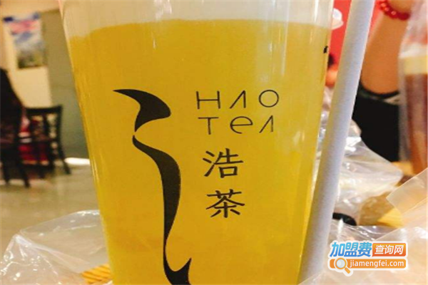浩茶
