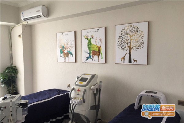 ONE轻奢皮肤管理加盟费