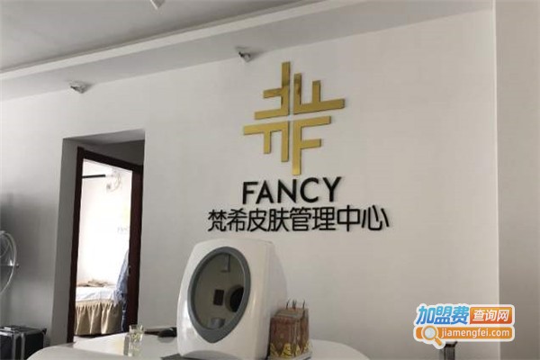 fancy梵思轻奢皮肤管理加盟费