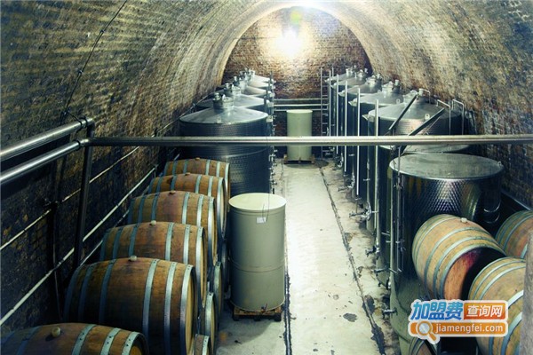 爱奋酒业加盟费