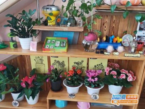 育翔幼儿园加盟费