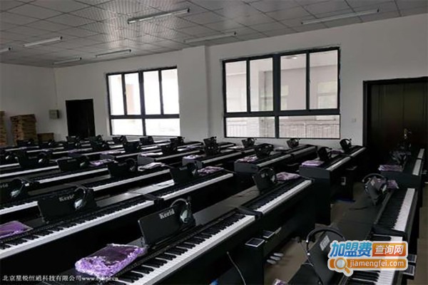 星锐音乐加盟费