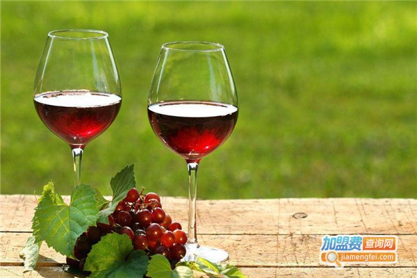 爱戈丝葡萄酒加盟费