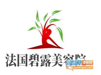 法国碧露美容院加盟费