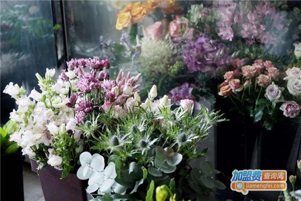 花秘密花艺培训