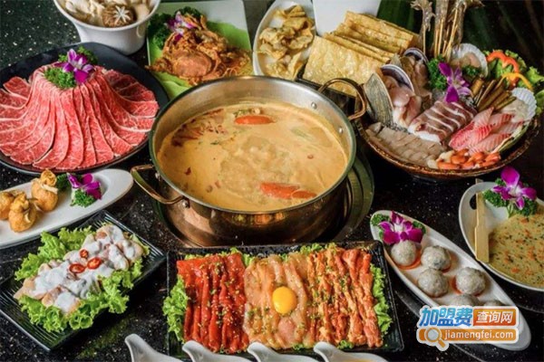 汕头蛇肉打边炉火锅