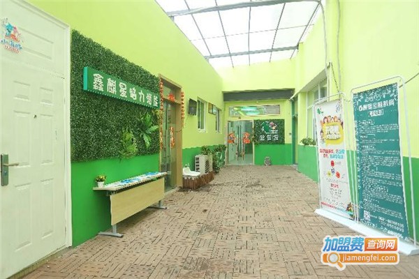 鑫麒星全脑教育加盟费