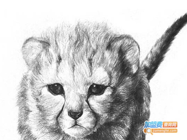 Happy创艺绘画加盟费