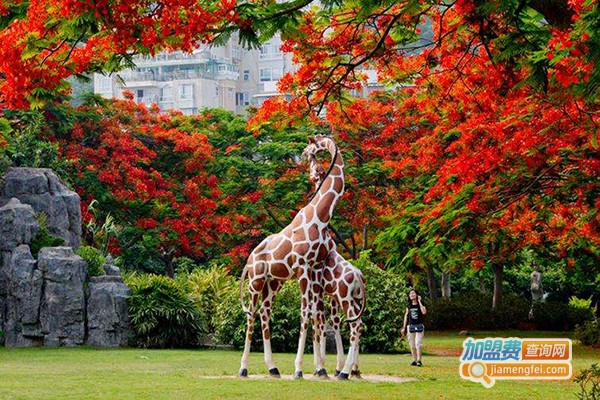 凤凰木画室加盟门店