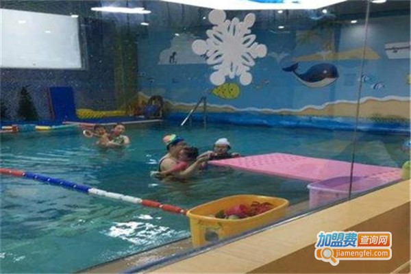 蓝鲸宝宝亲子游泳加盟费