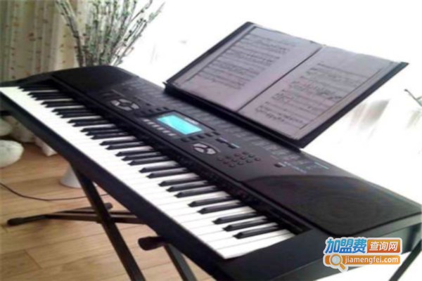 以勒钢琴电子琴培训中心加盟费