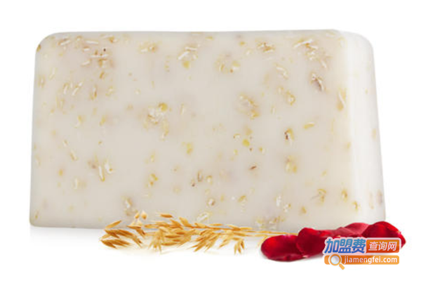 施丹兰洁面皂加盟费