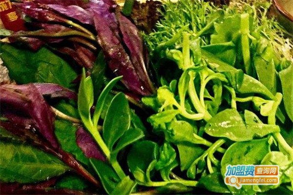 滇池印象云南原生态火锅加盟费