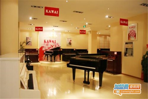 佳佳琴行加盟费