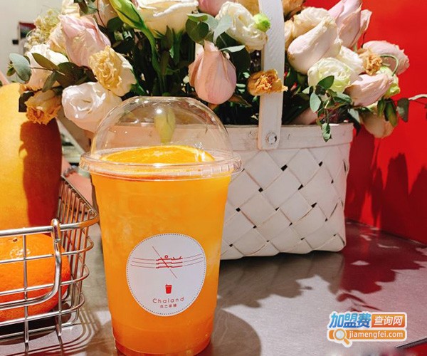 浅兰茶铺加盟门店