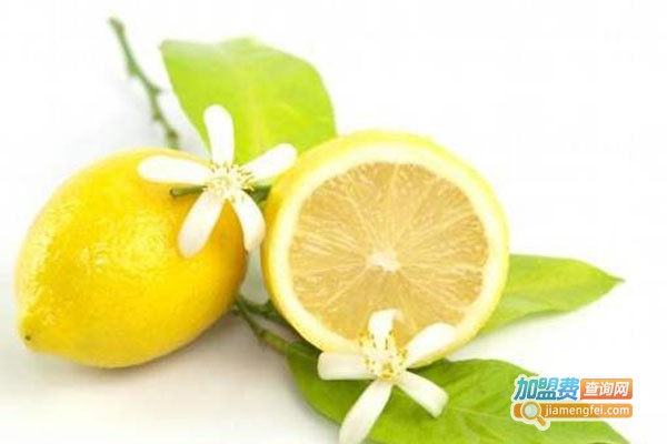 寂寞的柠檬加盟门店