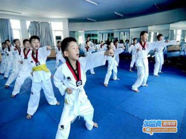 宏英跆拳道加盟费