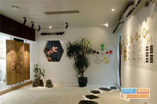 齐脉新健康养生馆加盟费