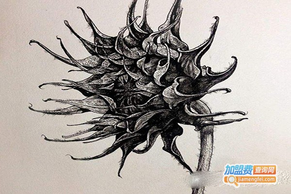 时雨美术工作室加盟门店