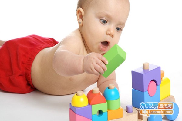 清火全脑开发加盟费