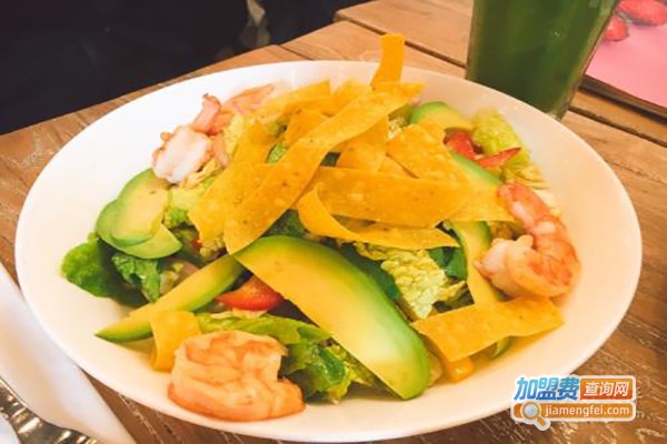 Toi轻食站加盟费