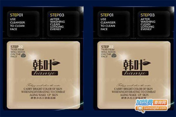 韩叶面膜