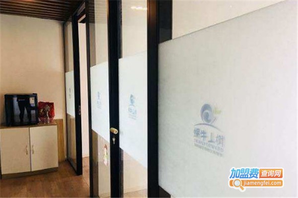 蜗牛上树国际教育加盟费