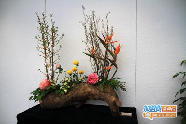 美诗尼插花艺术培训中心加盟费